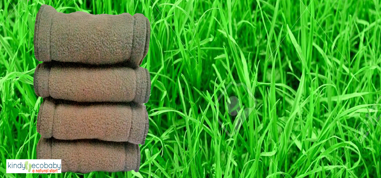Charcoal Bamboo Inserts